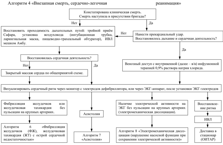 Алгоритм СМП «Внезапная смерть, сердечнолегочная реанимация»